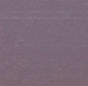 King Plasti-Shield® in purple